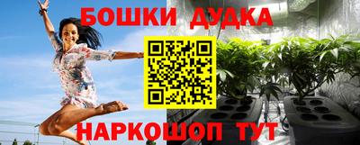 крисы Нижний Тагил