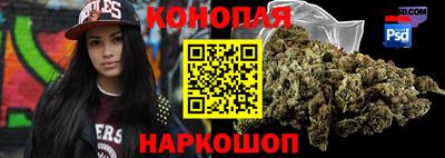 крисы Нижний Тагил