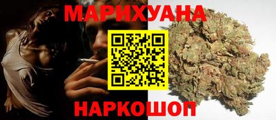 крисы Нижний Тагил