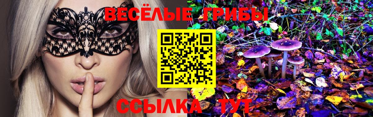 Дубна  Галлюциногенные грибы мухоморы  Вход с VPN 