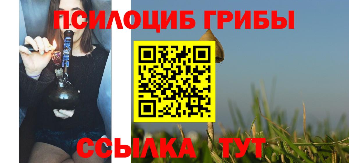 Галлюциногенные грибы прущие грибы Дубна